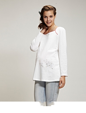 ������ɫ�����ЋD��