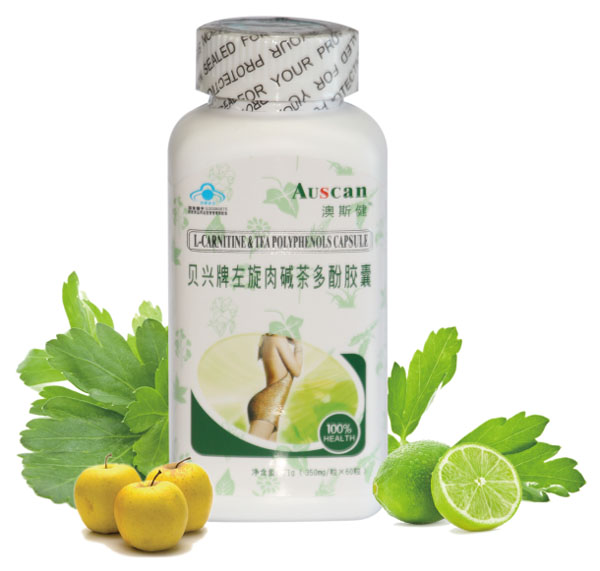 ��˹��ؐ�d��������A�����z��