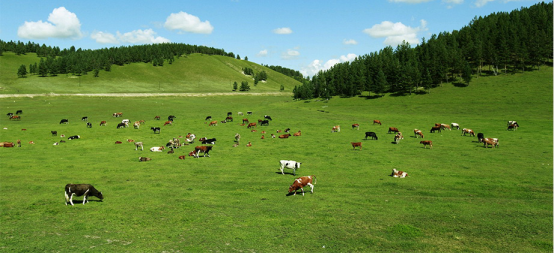 ����ĸ�����β�������һ�I�������ͯ�ИI����ĸ����ƽ�_