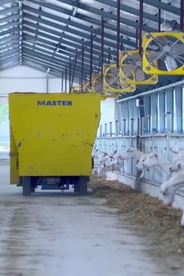 ���M�Ї����̳ǣ�ȥ̽����һ�������̡�����Ĺ���