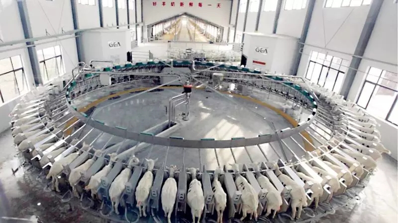 ���M�Ї����̳ǣ�ȥ̽����һ�������̡�����Ĺ���