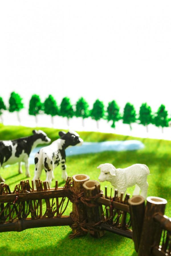 �߶��̷��Ј��������ң��������󼊼����