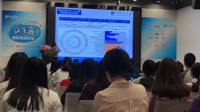 �۽��c������|��֥���ཡ������6����2019���������������H�߷�Փ��