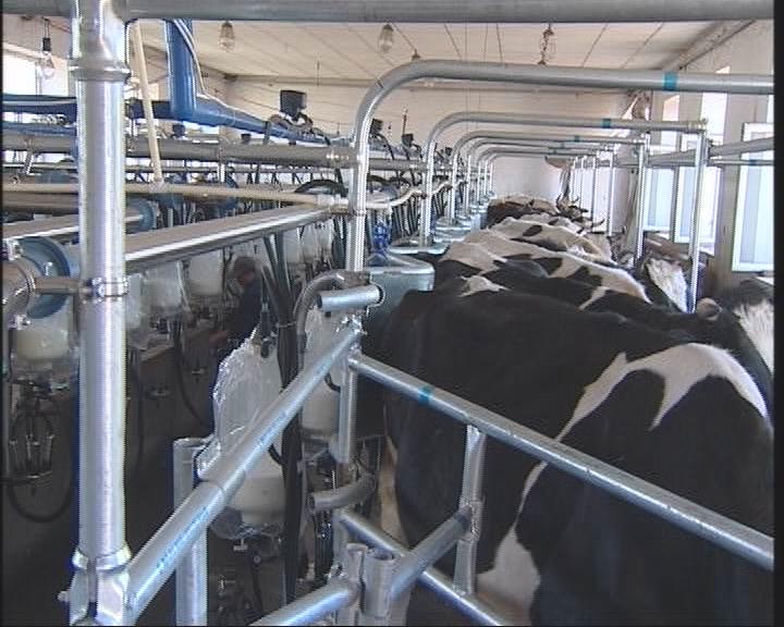 ���S���ȃ�ؐ���a��ˇ