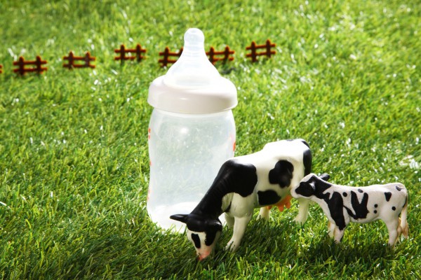 ������_��֮�£���Сĸ�����������һ�룬���Ñ����̷۵���Ը���ң�