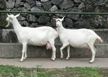 Ŀǰ��ֹ �H9�����̷��䷽ͨ�^ע����