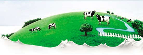 �Ї����|�鹤���`���̘I��ʮ���塱Ҏ��