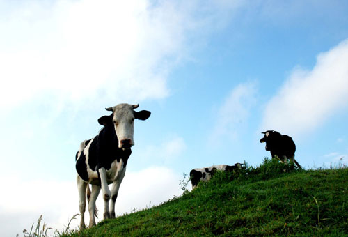 ���������Ї����� �������H��������