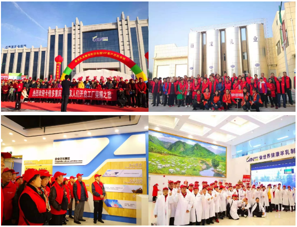 ����Ʒ�|���ɾͽ���֮�x| 2020����������ݴ��l���P����!