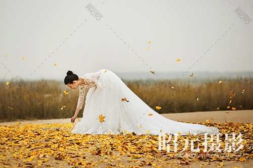 ������Ҫ�������� �������߀�Æ���