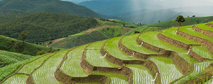 �A�ό�ؐ�ЙC(j��)���׃����������� ��������I�B(y��ng)������