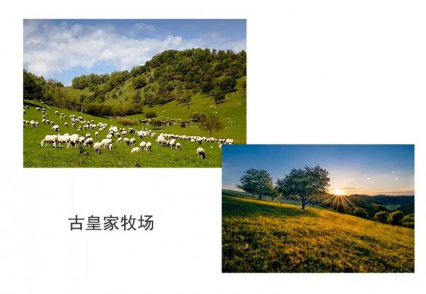 �Ї��������A�Σ�����P����ɽ��a�I�о�Ժ������