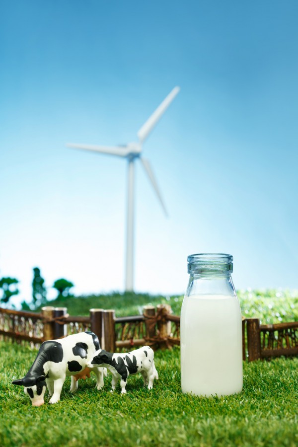 �M���̷۹���朆��}����  ���a�̷�Ʒ������܉�ӭ������